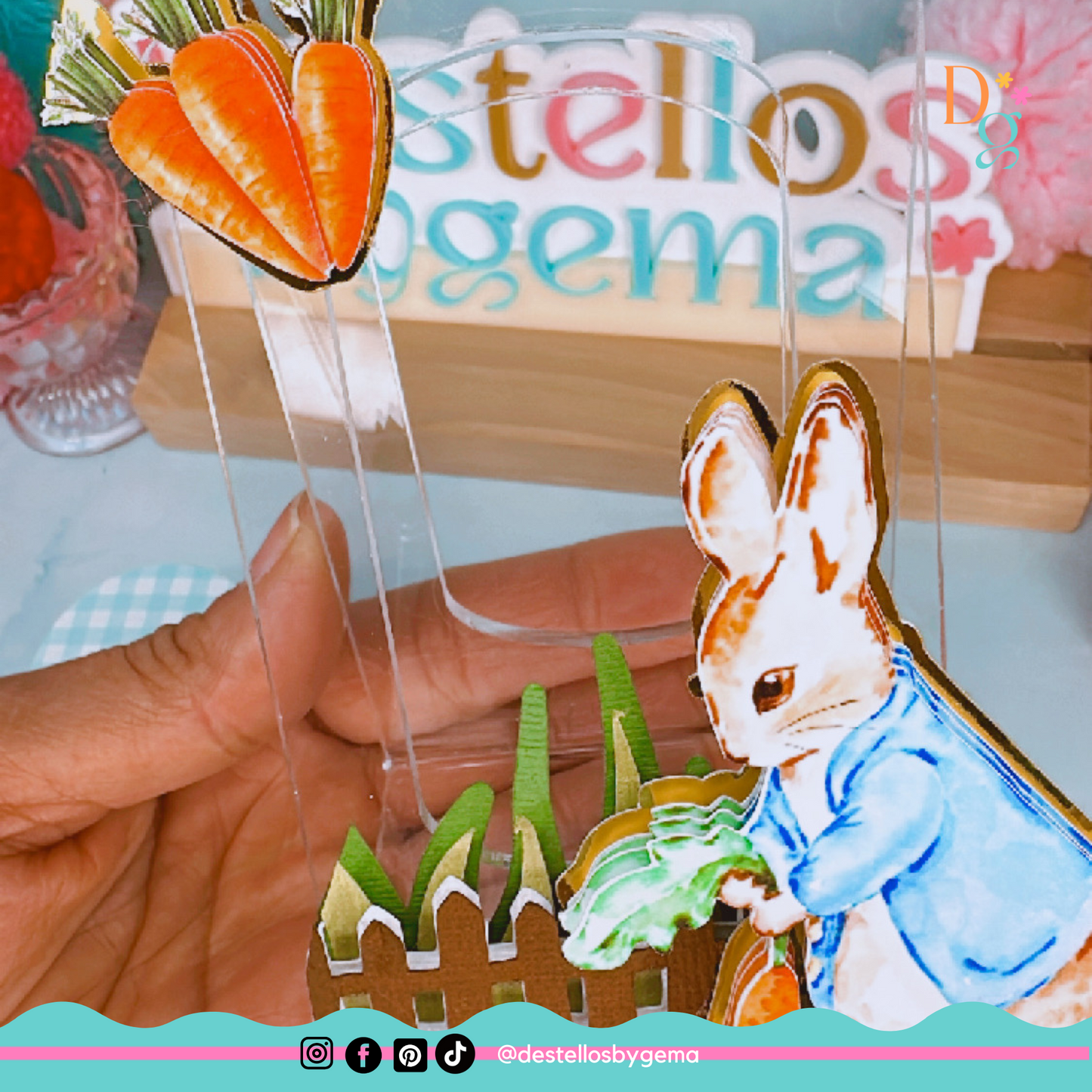 Peter Rabbit Acrylic Display Box